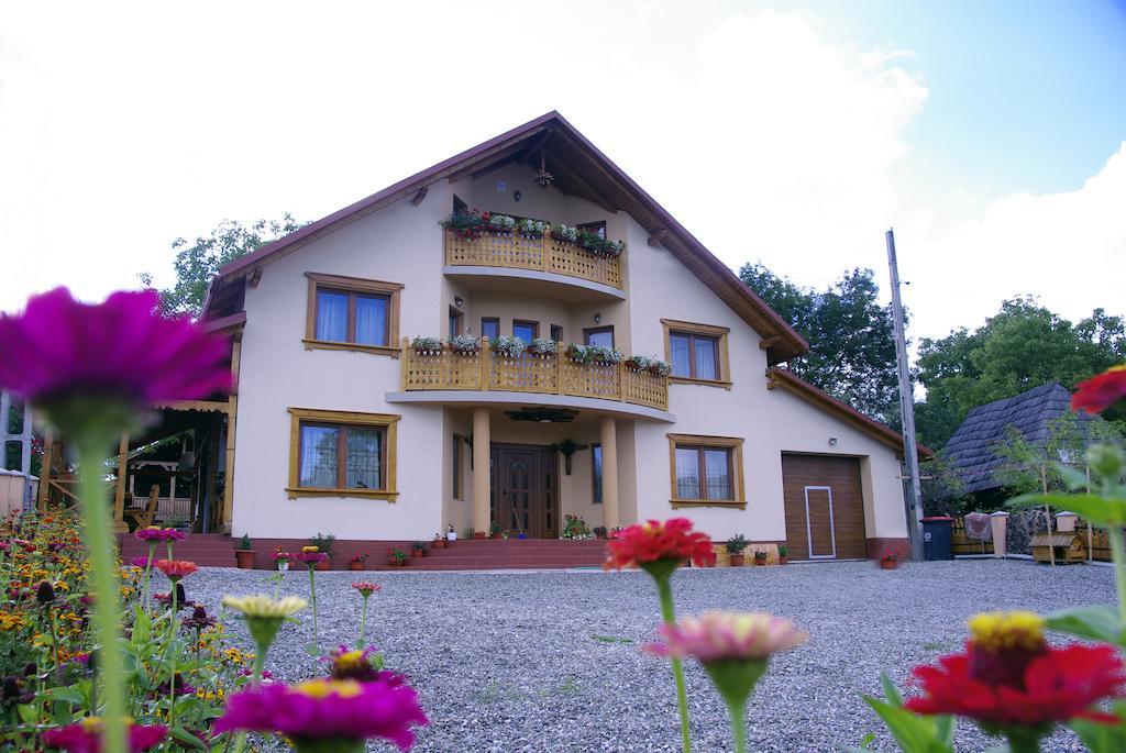 Pensiunea Marioara Breb Exterior photo